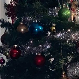 Meet your Posher, Lizzy